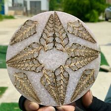 119G Rare Natural Tentacle Ammonite FossilSpecimen Shell Healing Madagascar picture