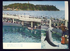 Vintage Postcard The Marineland  Enoshima Japan picture