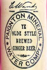 VINTAGE c1900s PAIGNTON MINERAL WATER COMPANY DEVON STONE GINGER BEER BOTTLE picture