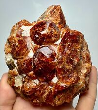 893 Gram Rare Lustrous Hessonite Red Garnet Huge Crystals Bunch On Matrix @PAK. picture