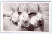 c1910's Easter Greetings Bunny Rabbit Rotograph Antique RPPC Photo Postcard picture