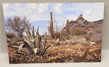 Splendors of the Desert Arizona Chrome Postcard  picture