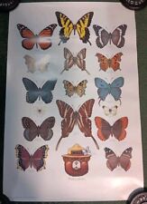Vintage 1980s Smokey The Bear Educational Butterfly Poster 20x30