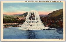 Vtg Thermopolis Wyoming WY Sacajawea Spring 1930s Linen View Postcard picture