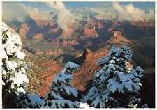 Postcard AZ Fred Harvey Grand Canyon National Park Winter Snow Trees Southwest picture