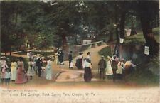 The Springs Rock Spring Park Chester West Virginia WV Rotograph Co 1907 Postcard picture