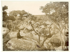 Rhodesia, Native Kraal Vintage Citrate Print. Vintage Zimbabwe.Rhodesia, offi picture