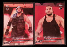 Authors of Pain Akam & Rezar 2018 Topps WWE Rookie Cards RC Pro Wrestling picture