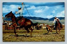 RODEO TEAM TYING EVENT COWBOYS CALF ROPING POSTCARD picture