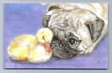 PREDICAMENT ~ Pug Dog Puppy & Cute Sleeping Duckling ~ A/S Postcard picture