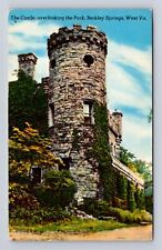 Berkley Springs WV-West Virginia, Castle Overlooking The Park, Vintage Postcard picture