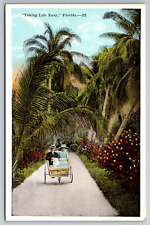 Vintage Postcard FL Man Woman in Carriage Palm Trees picture