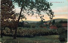 Ellenville NY Sunset 1910  picture