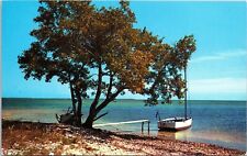Old Boat Beach Tree Water Blue Sky Postcard VTG UNP Plastichrome Vintage Unused picture