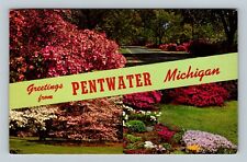 Pentwater MI, Banner Greetings, Scenic Road View Vintage Michigan c1969 Postcard picture