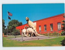 Postcard Dinosaur Group, Utah Field House Of Natural History, Vernal, Utah picture