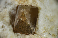Teruelite variety of Dolomite crystal in white gypsum matrix. From Spain. picture