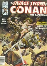 Savage Sword of Conan #11 FN 1976 Stock Image picture