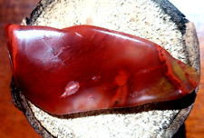 Polished Volcanic Petrified Wood Agate Limb Cast Vivid Reds Translucent Purple picture
