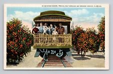 Postcard Tourists on Orange Grove Train in Florida, Vintage N18 picture