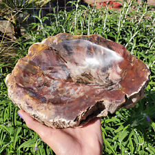 Petrified Wood Bowl Purple Pastel Druzy Rustic Decor Trinket Dish | 3340 grams | picture