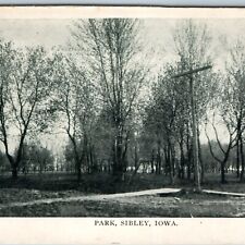 c1910s Sibley, IA Public Park Rare View Litho Photo Telegraph Line Sidewalk A202 picture