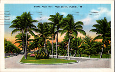 Vintage 1937 Old Car on Royal Palm Way, Palm Beach, Florida FL Postcard  picture