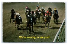 Postcard Florida Horse Racing - We're Coming to See You A17 picture