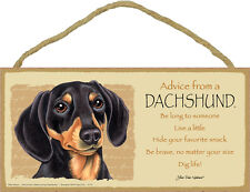 Advice From A DACHSHUND Black and Tan Dog Head 5 x 10 Wood SIGN Plaque USA Made picture