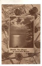 Neath the Pines of Dear Old Maine Poem 1910 Vintage Postcard picture
