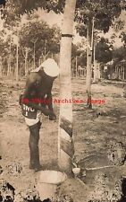 Ethnic Culture, RPPC, African Native Gathering Rubber? picture