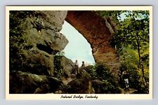 Natural Bridge KY-Kentucky, Natural Bridge, Antique, Vintage Souvenir Postcard picture
