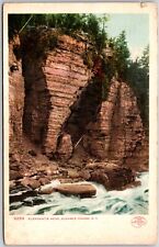 Elephant's Head Ausable Chasm New York Postcard 1908 Db picture