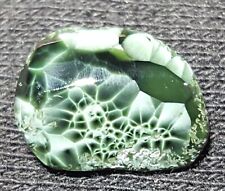 Chlorastrolite Michigan Greenstone rare gem  picture