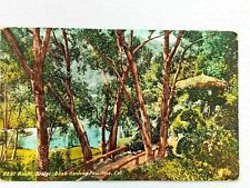 Vintage Postcard 1912 Rustic Bridge Bush Gardens Pasadena CA California picture