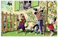 Eugen Hartung Cats Postcard - Coloprint B Special 2274/3 - Picking Pears picture