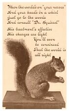 Early Postcard c1910 Squirrel w/ Feel Good Poem From Daddy picture