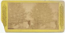 WASHINGTON SV - Mining Cabin - Continent Stereo Co 1870s picture