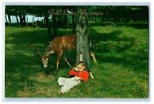 c1950s Forty Winks Vacationland Boy and Deer Scene, Unposted Postcard picture
