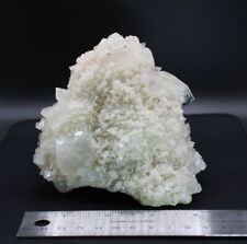 Huge Apophyllite Coral Matrix Cluster Crystal Rock Raw Gem Display Mineral picture