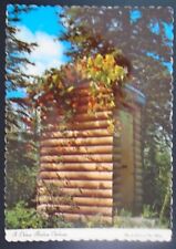 Deluxe Model, or Example, of Alaskan Outhouse, Roof of Colorful Nasturtiums picture
