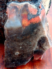 Volcanic Crust Petrified Wood Limb Cast Slab Smokey Quartz Red Band Inclusion picture