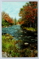 Vintage Postcard Delightful Stream Manchester Vermont picture