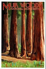 Muir Woods National Monument California Deer & Grove Lantern Press postcard picture