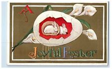 c1910's Joyful Easter Hatched Egg Bunny Rabbits Flowers Embossed Postcard picture