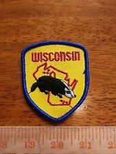 Vintage State of Wisconsin Patch  V1 picture