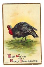 c1908 Int'l Art #51496 Thanksgiving Postcard Wild Turkey - Embossed picture