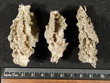 Lot of Three larger 100% Natural FULGURITE s or Petrified Lighting 13.0gr picture