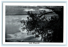 c1950s View of Tree and Sea, Luck Wisconsin WI Unposted Vintage Postcard picture