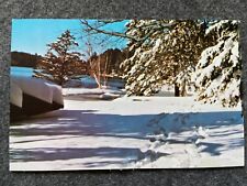 A snowy landscape Vintage Postcard picture